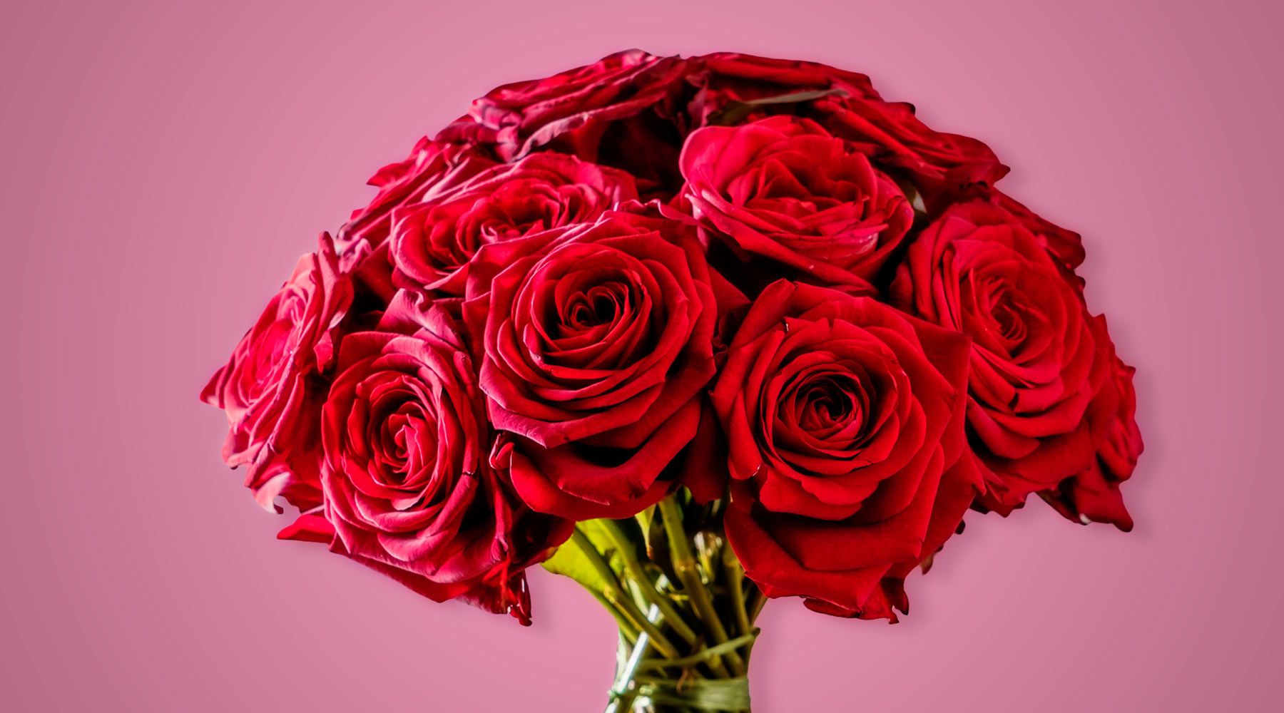 The Most Romantic Flowers for Valentine’s Day