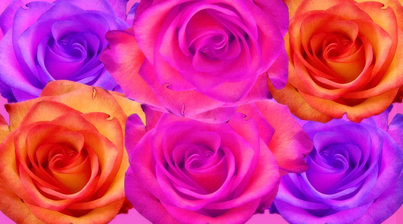 Best Flower Delivery Flower Delivery Near Me MY FLOWERS