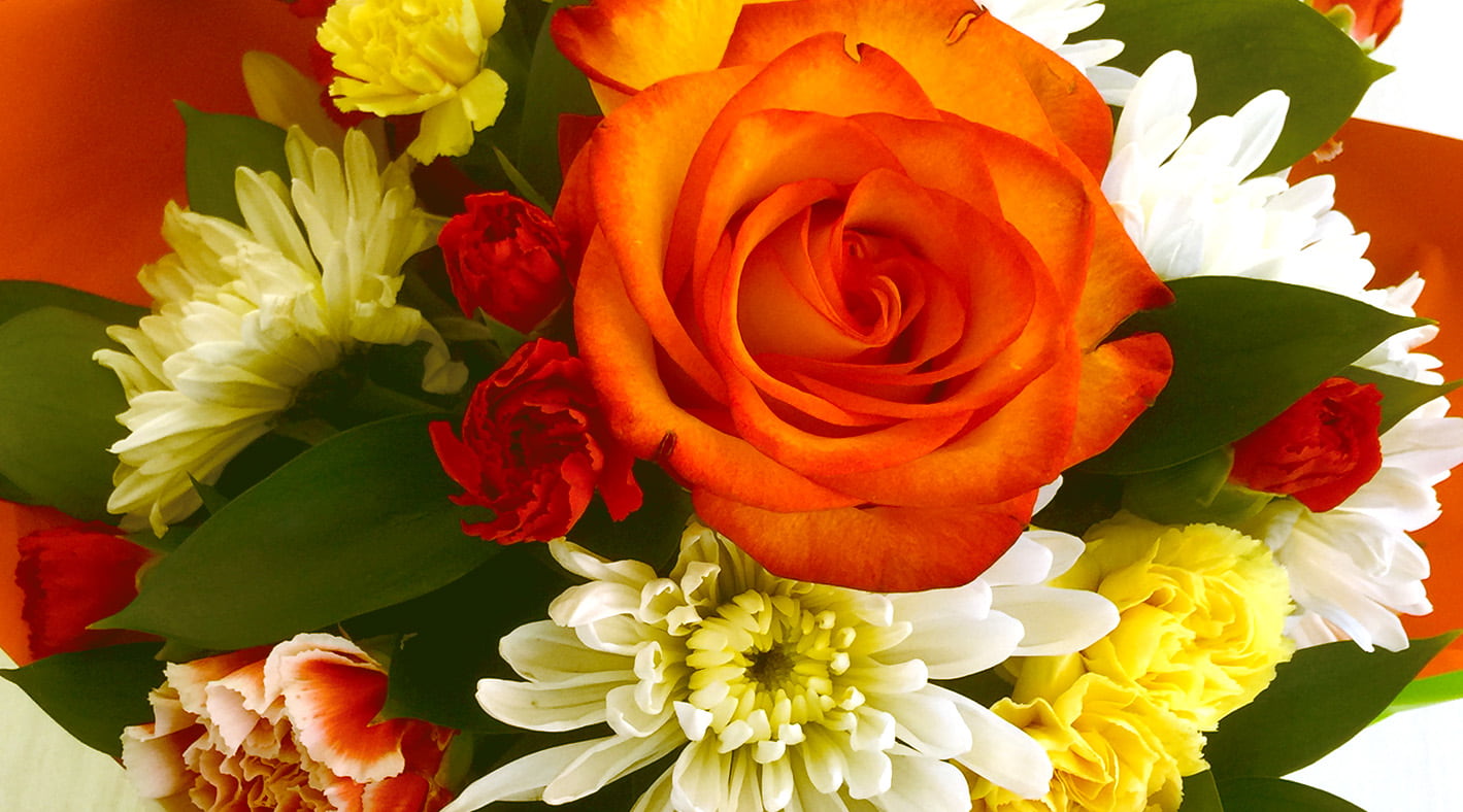 Fabulous Flowers for an Autumn Bouquet 