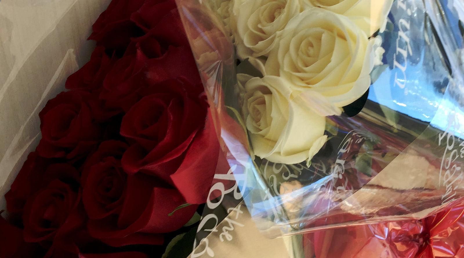 Most Romantic Flowers to Send to your Girlfriend