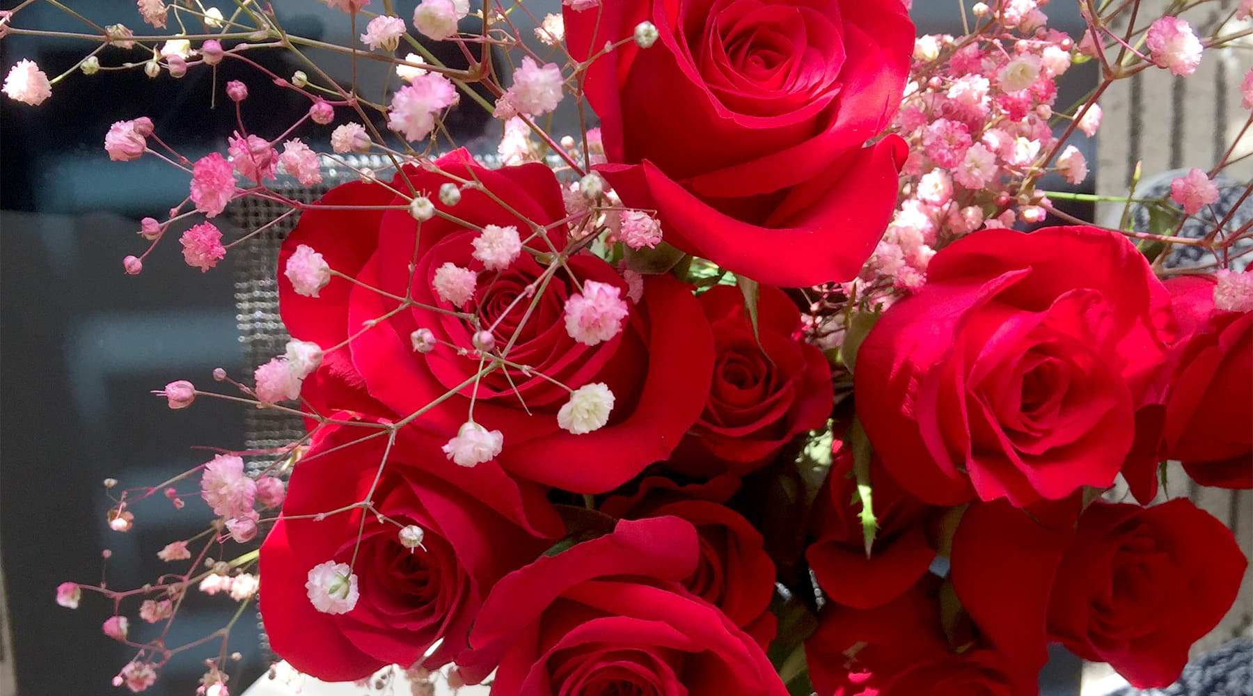 Red Roses and Symbols of Love