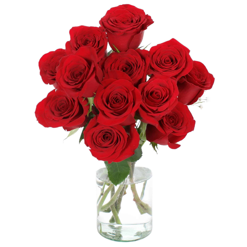 Dget Fresh Roses How To Process Fresh Cut Roses - MY FLOWERS