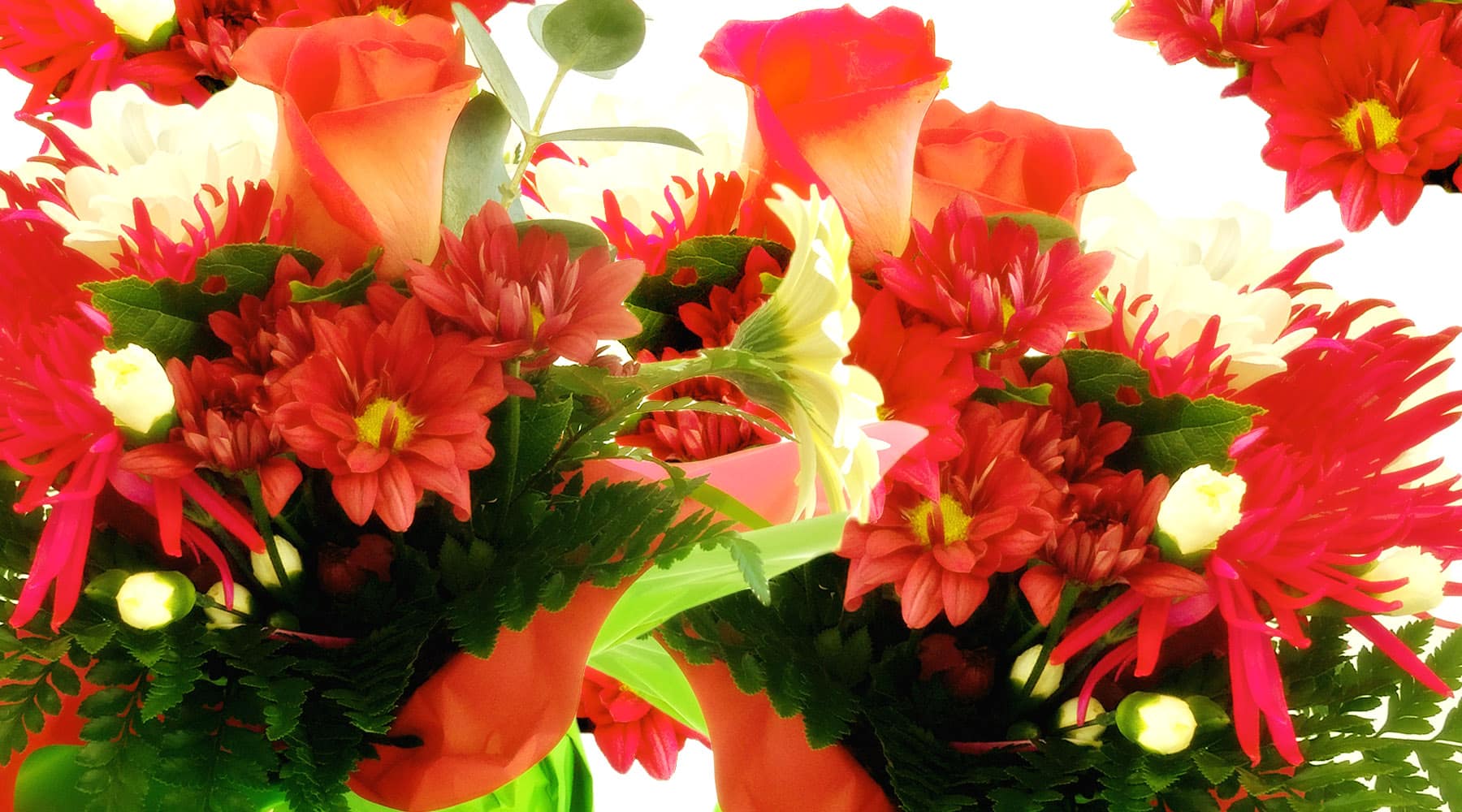 Where Is The Best Place To Order Flowers Online?