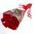 Preserved Eternal Roses Delivery Toronto