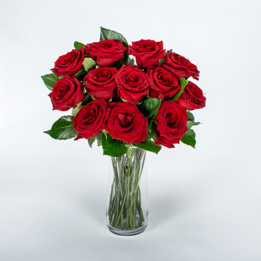 12 Red Roses With Vase - MY FLOWERS
