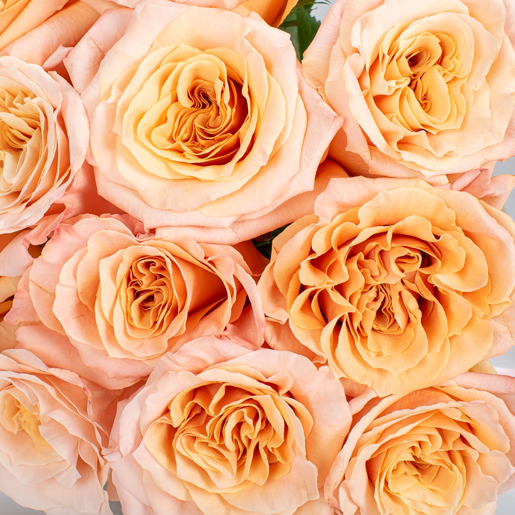 A-Dozen-Peach-Roses-Bouquet