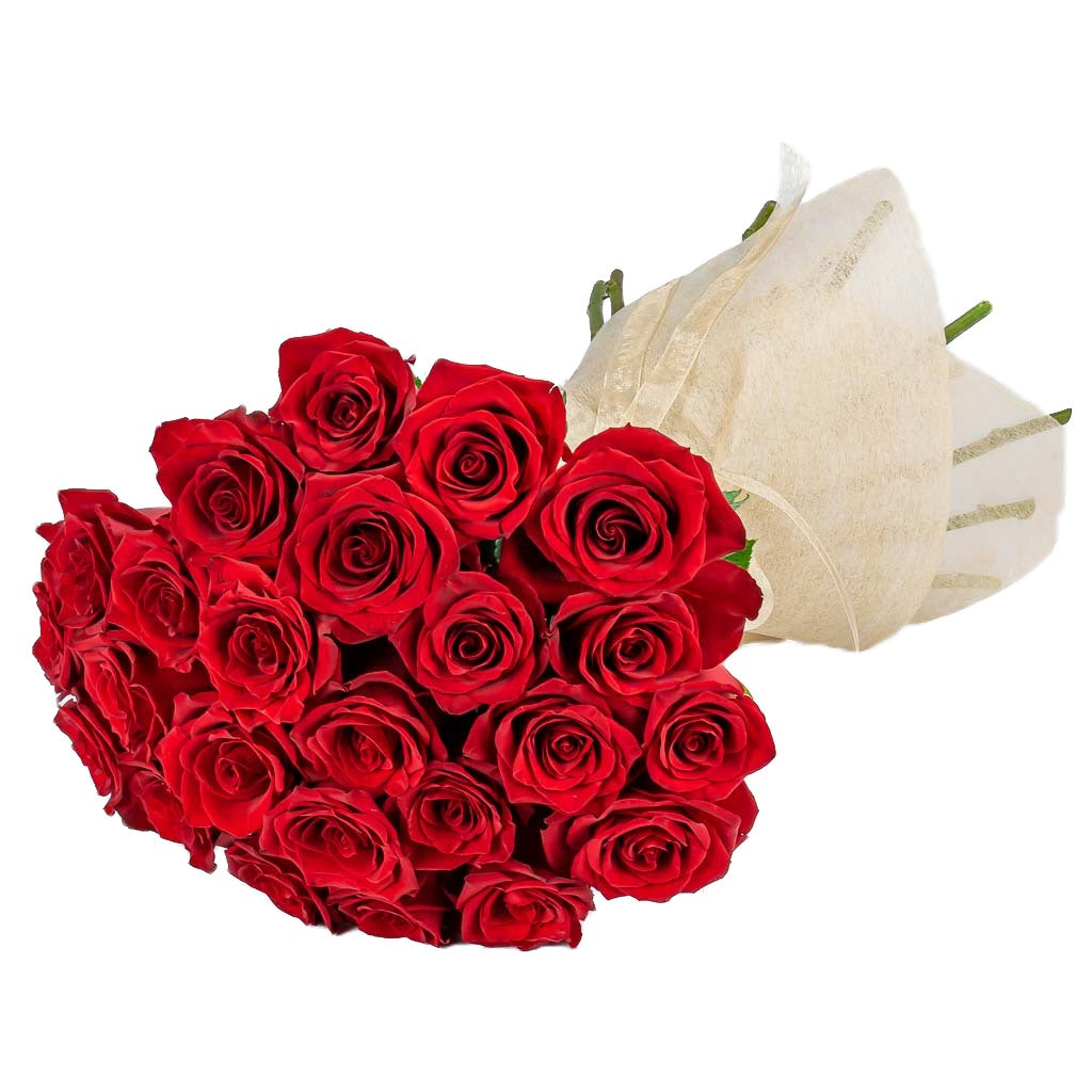 24 Fresh Red Roses 