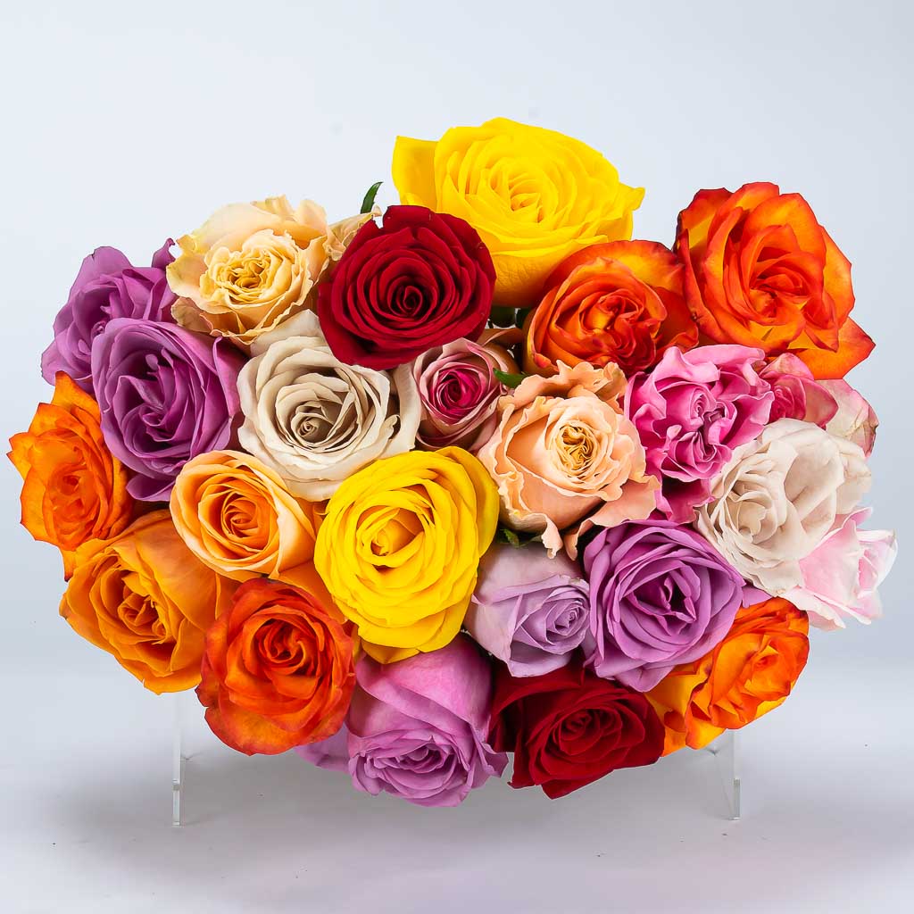 Mixed Colour Rose Bouquet Delivery Canada - MY FLOWERS