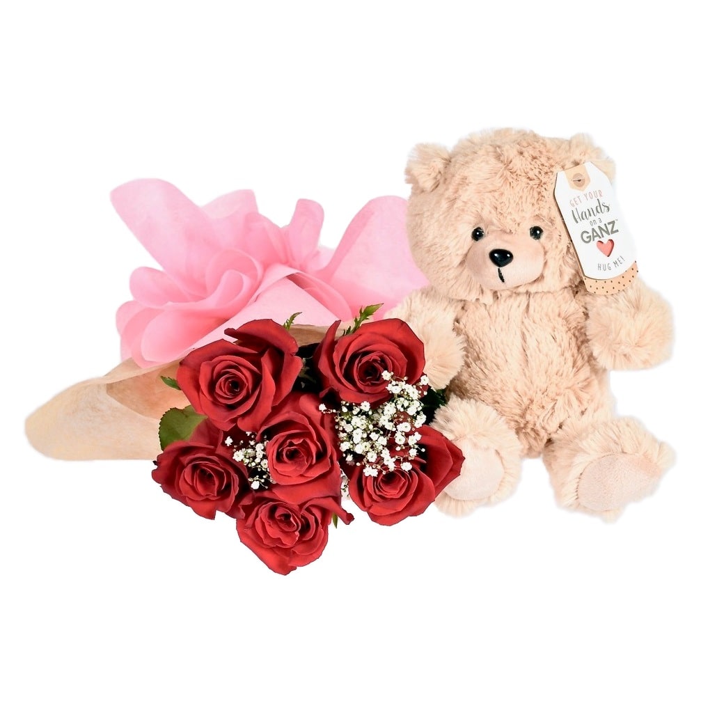 Teddy Bear 6 Red Roses