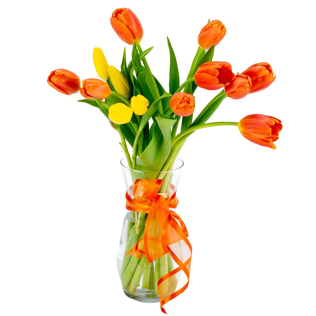 Tulips in a vase gift.
