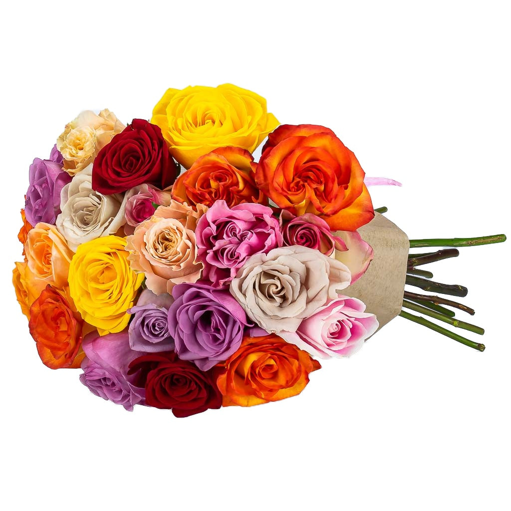 2 Doz Mix Roses Mixed Colour Rose Bouquet Delivery Canada - MY FLOWERS